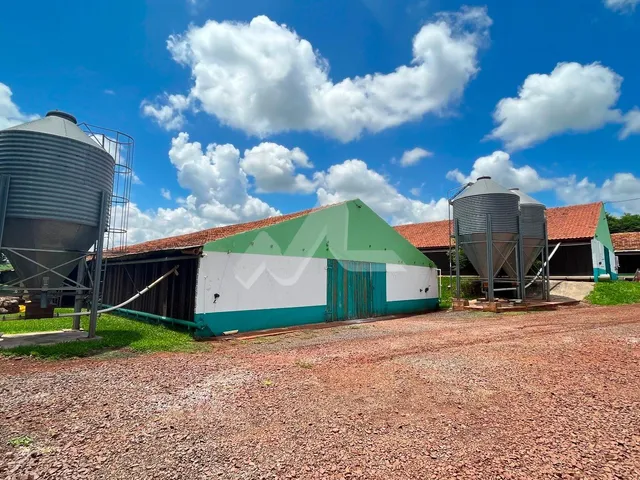 Imagem 4: Chácara à venda,48400.00 m , Zona Rural, TOLEDO - PR