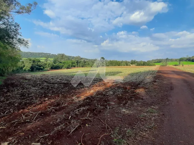 Imagem: Sítio de 10 Alqueires - Planta 06 Alqueires