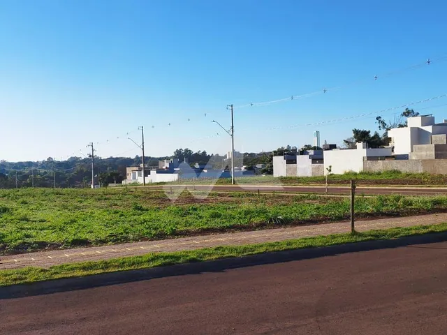 Imagem 1: Terreno à venda,480.00 m , Tocantins, TOLEDO - PR