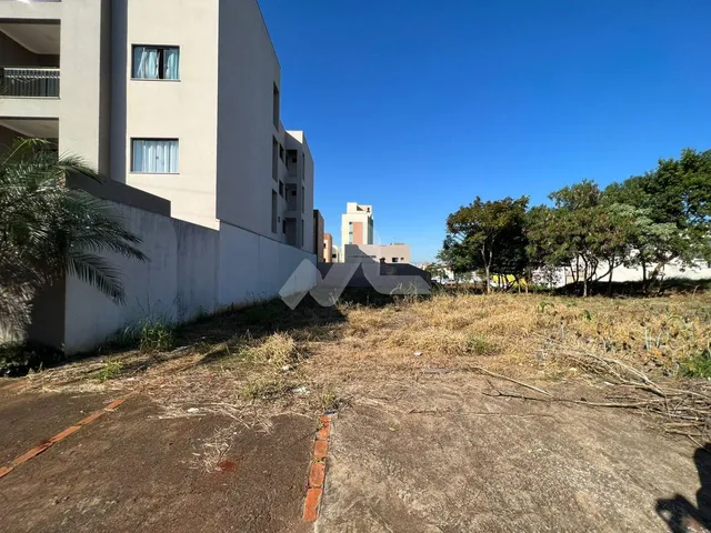 Imagem 2: Terreno à venda,420.00 m , Tocantins, TOLEDO - PR