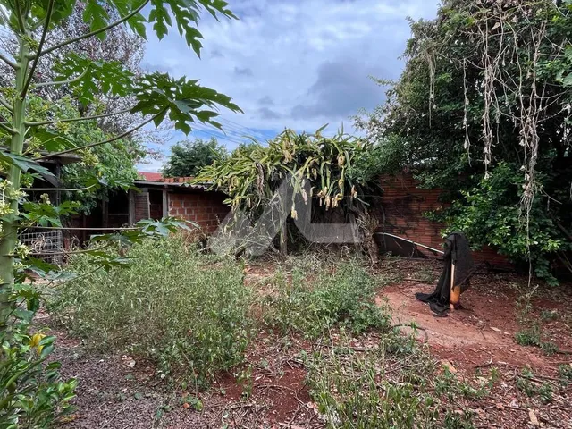 Imagem 2: Casa com 3 dormitórios à venda, terreno de 275.00 m , São Francisco, TOLEDO - PR