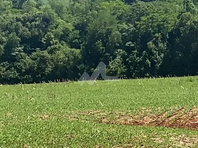 Imagem 5: Área rural de 5,00 Alq. - Localizada no Distrito de 10 de Maio, distante 26,5 Km de
