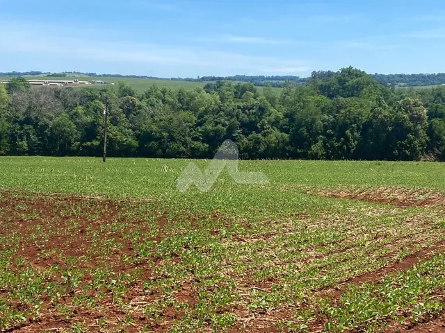 Imagem 4: Área rural de 5,00 Alq. - Localizada no Distrito de 10 de Maio, distante 26,5 Km de