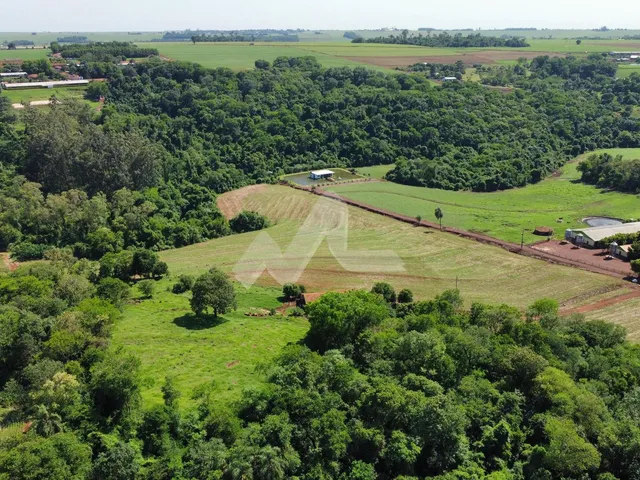 Imagem 6: Área de 3 Alqueires - Possui energia - mina d´agua e água de poço artesiano