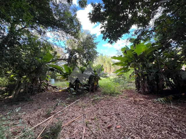 Imagem 5: Chácara com 3 dormitórios à venda, Jardim Europa, TOLEDO - PR