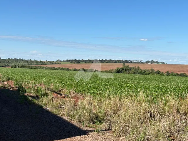 Imagem: Chácara à venda, Zona Rural, TOLEDO