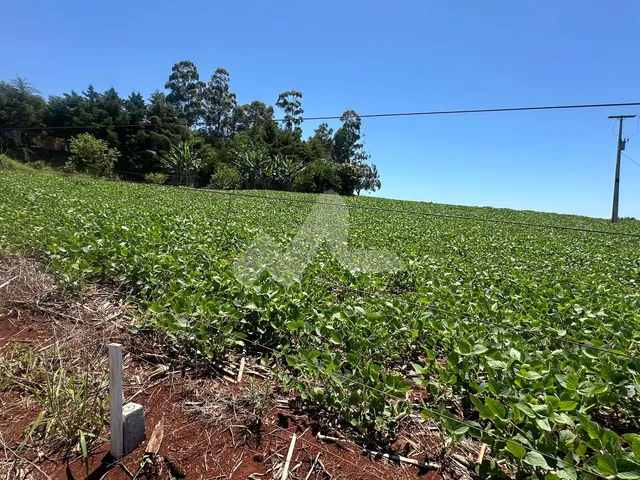 Imagem 10: Linda casa com área construída de 500 m e terreno com 5.000 m . 3 suítes todas com Ar