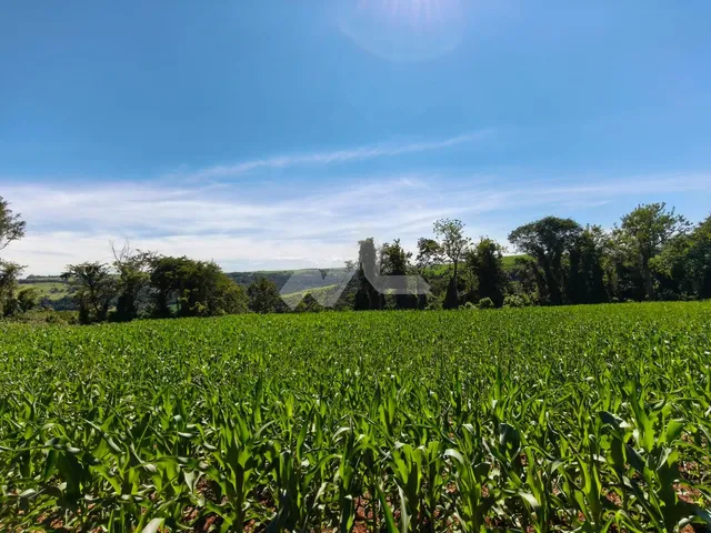 Imagem 1: Sítio, Zona Rural, OURO VERDE DO OESTE - PR
