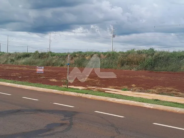 Imagem: Terreno à venda, Vila Pioneiro, TOLEDO