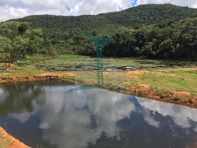 Imagem 1: Chácara à venda em Mandirituba-PR: 3 quartos, 2 salas, 2 banheiros, 2 vagas de garagem
