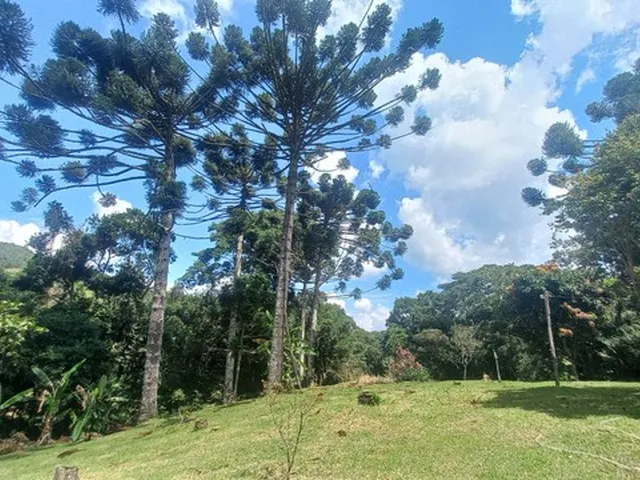 Imagem 12: Sítio das Cerejeiras!!
