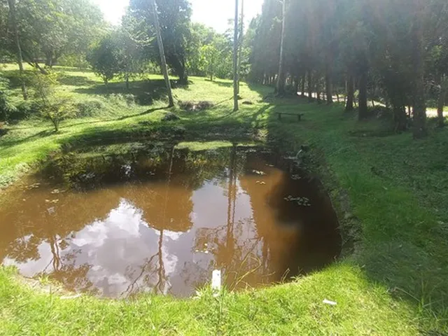 Imagem 15: Sítio das Cerejeiras!!