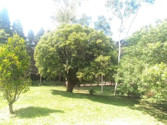 Imagem 8: Sítio das Cerejeiras!!