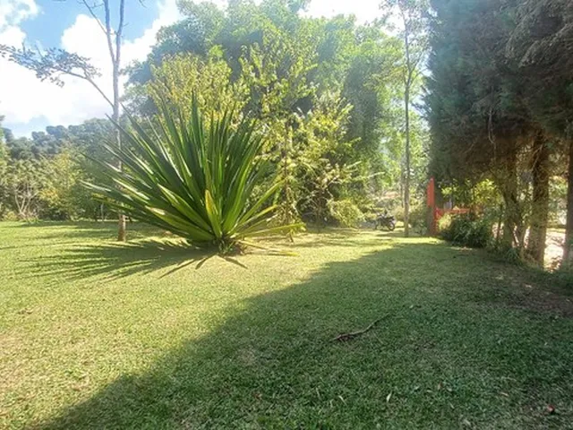 Imagem 5: Sítio das Cerejeiras!!