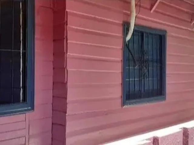 Imagem 3: Vende Uma Casa de Mista de Sobrado