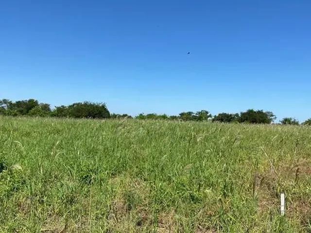 Imagem: Chácara de 1.300M2 no Limoeiro