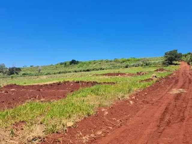 Imagem 6: Chácara de 1.300M2 no Limoeiro