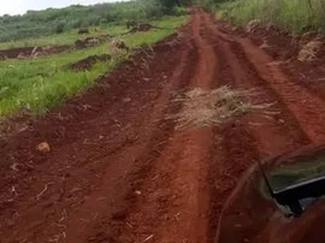Imagem 4: Chácara de 1.300M2 no Limoeiro