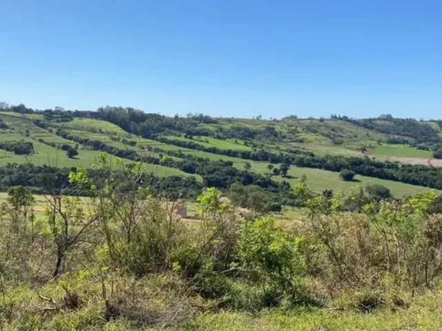 Imagem 5: Chácara de 1.300M2 no Limoeiro
