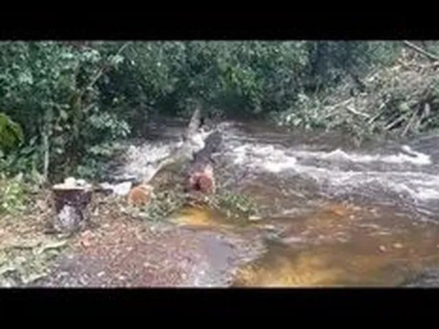 Imagem: A chácara possui 2m² de Área e está localizado em