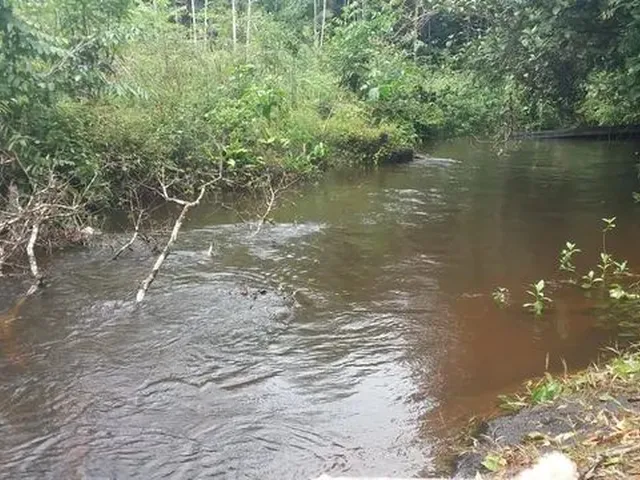 Imagem 6: Vendo Terreno Rural Titulado e Registrado