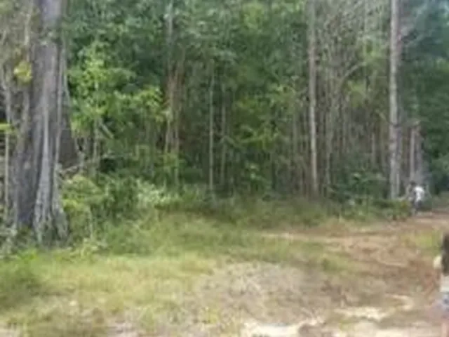 Imagem 4: Vendo Terreno Rural Titulado e Registrado