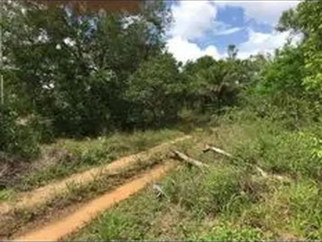Imagem 2: Vendo Terreno Rural Titulado e Registrado