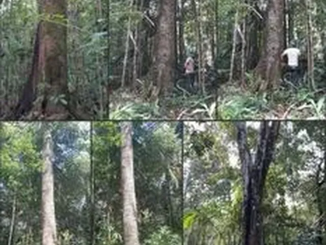 Imagem 5: Vendo Terreno Rural Titulado e Registrado