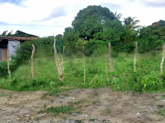 Imagem: Terreno 450M² 15M X 30M