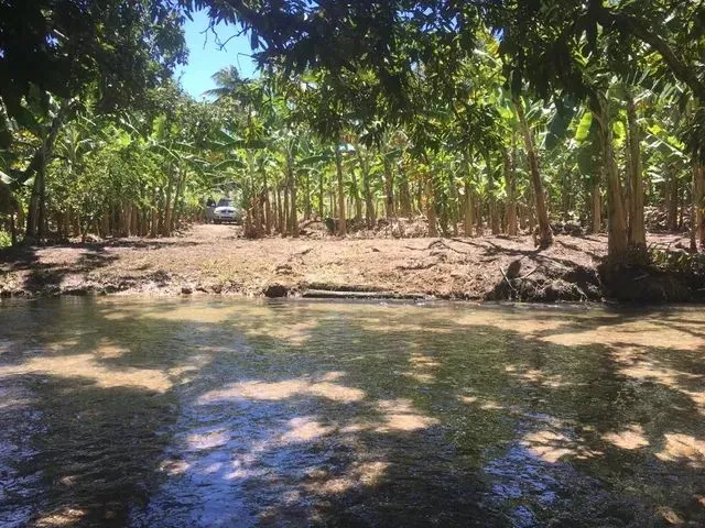 Imagem: Lindo Terreno para Sítio, com Rio de Águas