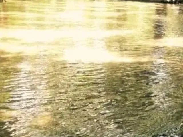 Imagem 2: Lindo Terreno para Sítio, com Rio de Águas Cristalinas