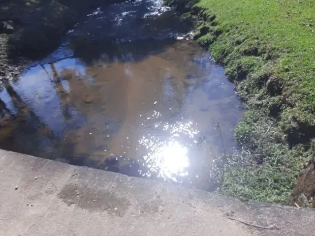 Imagem 2: Chácara em Bocaiúva do Sul - Pr