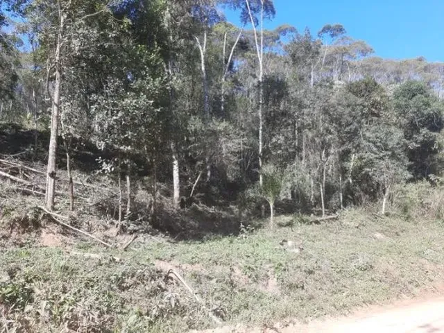 Imagem 4: Chácara em Bocaiúva do Sul - Pr