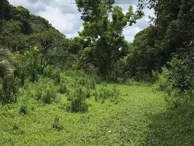 Imagem: Terreno P/ Chácara C/ Vista Panorâmica