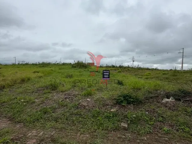 Imagem: A Chance que Você Esperava! Lote à Venda
