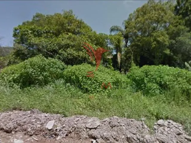 Imagem 16: 3 Terrenos a 1 km do mar em Bombas - SC