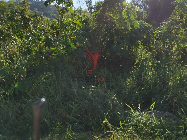 Imagem 11: 3 Terrenos a 1 km do mar em Bombas - SC