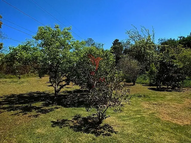 Imagem 16: Área de 4949m² com 5 Casas em local tranquilo e asfaltado no Campo de Santana
