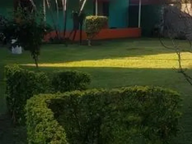 Imagem: Venda