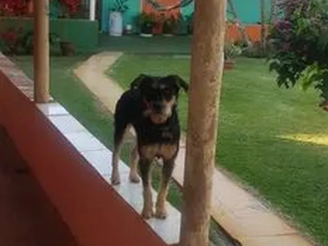 Imagem 4: Venda Chácara com 1 dormitório