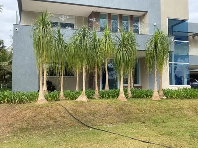 Imagem: Sítio Casa Luxo 8 Qtos 4 Suítes Sauna