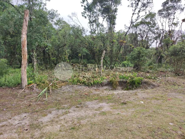 Imagem 3: Terreno à venda, Guaraguaçu, PONTAL DO PARANA - PR Amplo Terreno no Guaraguaçu