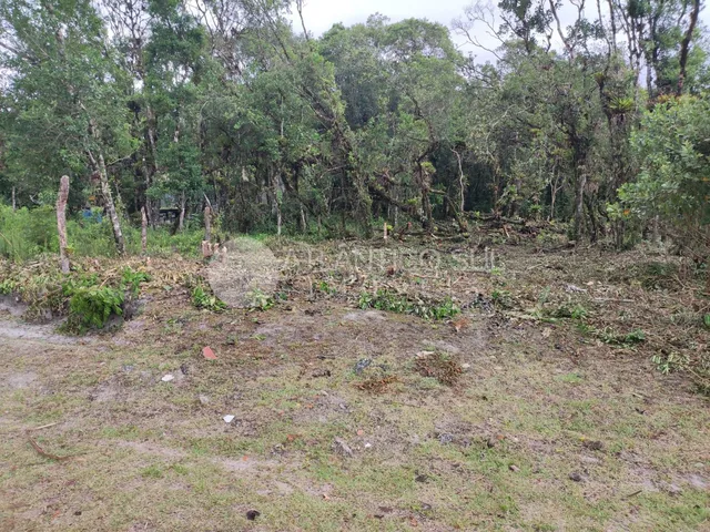 Imagem 4: Terreno à venda, Guaraguaçu, PONTAL DO PARANA - PR Amplo Terreno no Guaraguaçu