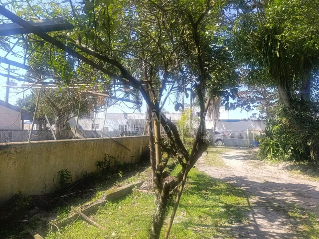 Imagem 4: Terreno a venda em região de moradores, SHANGRI-LÁ, PONTAL DO PARANA - PR