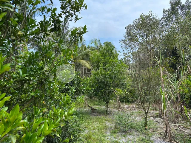 Imagem 16: Chácara à venda, com acesso ao rio, Guaraguaçu, PONTAL DO PARANA - PR