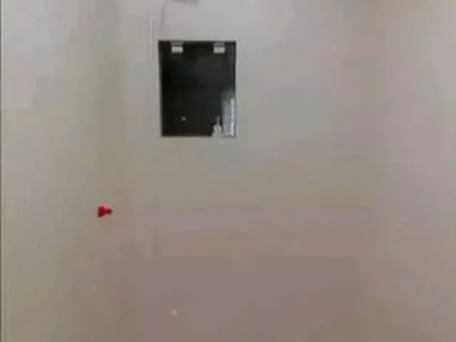 Imagem: Alugo Apartamento de 1 Quarto em Capoeiras
