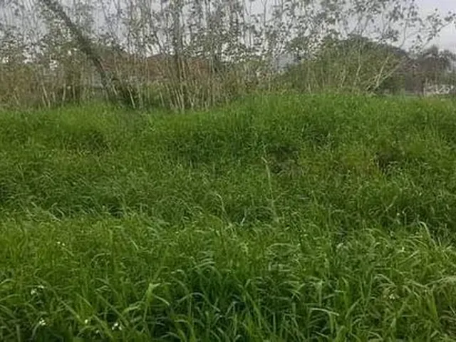 Imagem 1: Vendo Terreno Contrato de Compra e Venda 2003