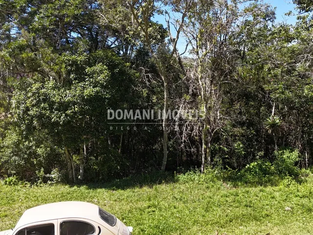 Imagem 8: Terreno - Campos do Jordão