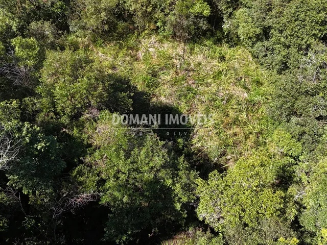 Imagem 7: Terreno - Campos do Jordão