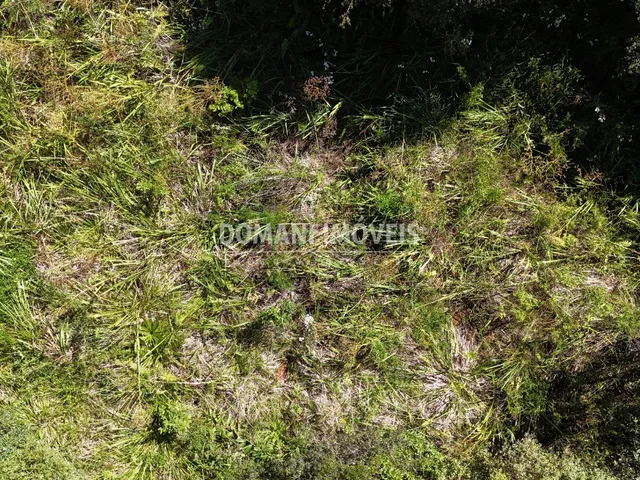 Imagem 13: Terreno - Campos do Jordão